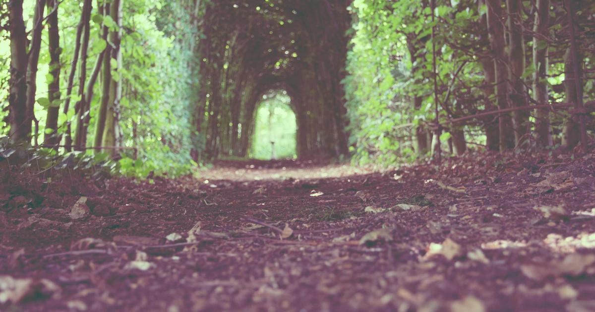 หางานสปา นวดแผนไทย และความงาม โซนวงศ์อมาตย์ พัทยา รายได้ดี สภาพแวดล้อมพรีเมียม