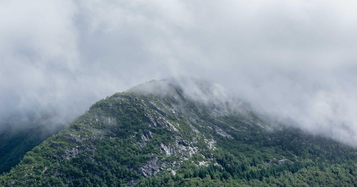 หางานบาร์พัทยา: โอกาสทองสำหรับบาร์เทนเดอร์ในโซนเขาน้อย