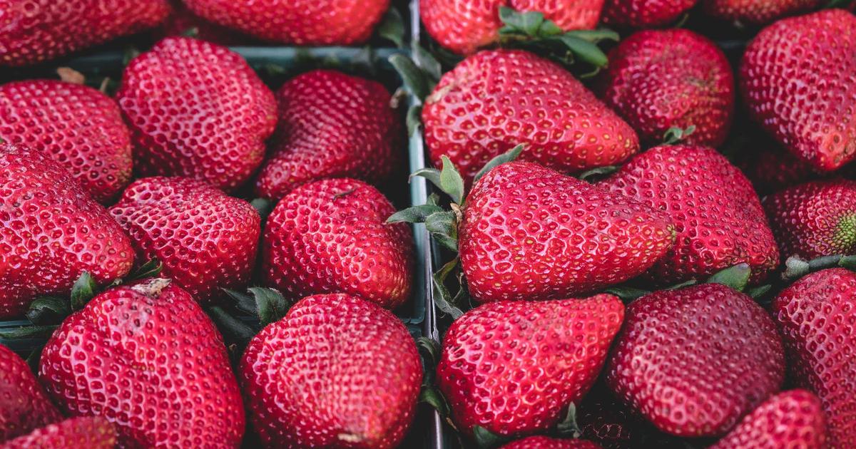 หางานบริการอาหารและเครื่องดื่ม ซอยเนินพลับหวาน พัทยา | JobPTY