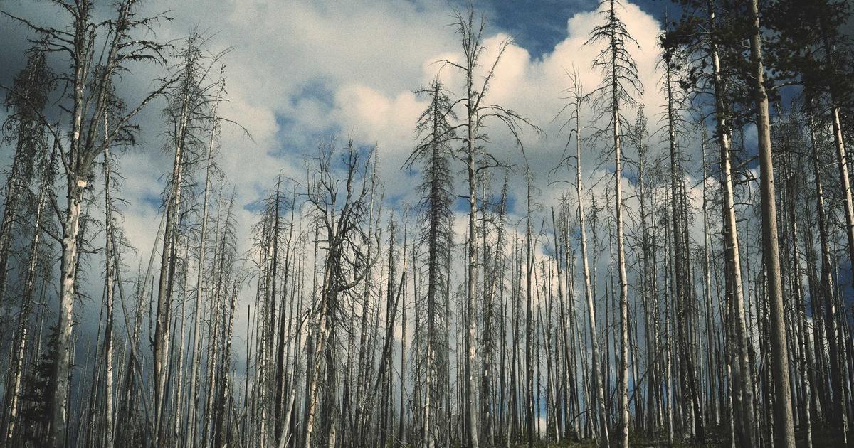 หางานครัว กุ๊ก เชฟ ในโซนวงศ์อมาตย์ พัทยา โอกาสเติบโตในย่านหรู