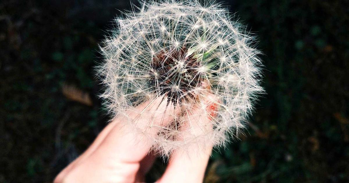 หางาน ไอที คอมพิวเตอร์ กราฟิก โซนห้วยใหญ่ - บ้านอำเภอ พัทยา | JobPTY