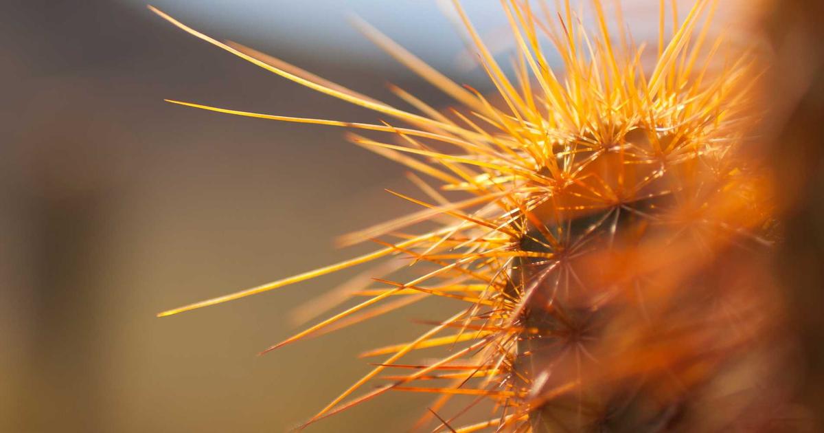 ค้นหางานช่าง งานซ่อมบำรุง งานวิศวกรรม โซนซอยเนินพลับหวาน พัทยา อัปเดตล่าสุด