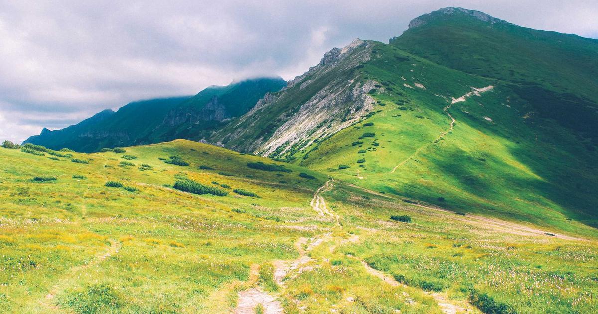 หางานสุขภาพ การแพทย์ และพยาบาล โซนหาดจอมเทียน พัทยา โอกาสเติบโตในเมืองระดับโลก | JobPTY