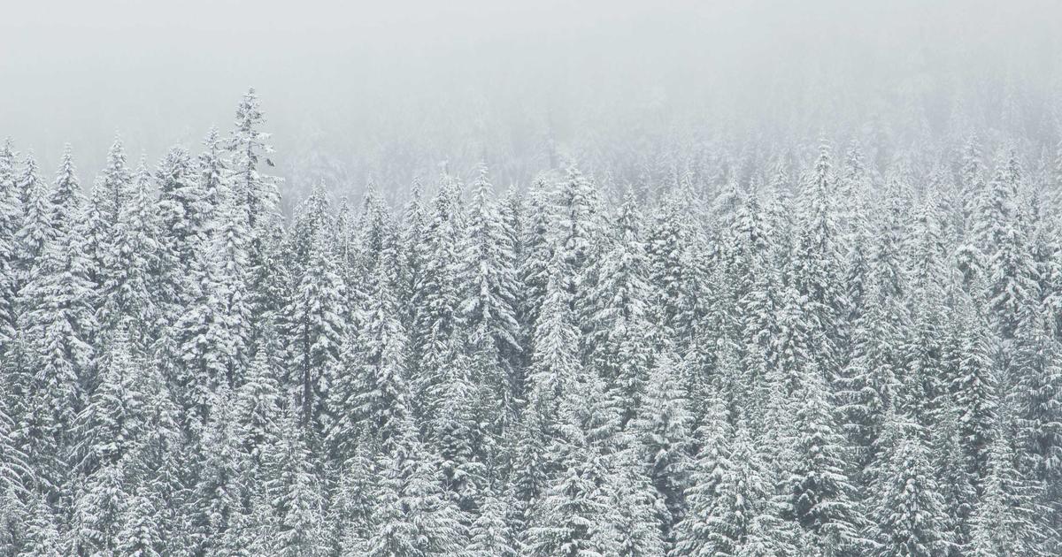 หางานแม่บ้าน และ รปภ. โซนเขาพระตำหนัก พัทยา รายได้ดี สวัสดิการเยี่ยม | JobPTY