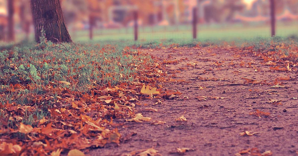 หางานขาย การตลาด ประชาสัมพันธ์ พัทยาใต้ แหล่งรวมโอกาสทองของคนมีไฟ