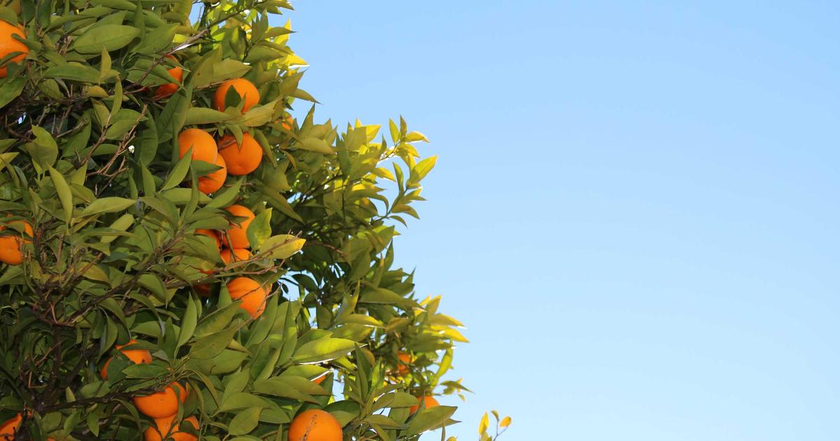 หางานบันเทิง อีเวนท์ และ MC ในโซนจอมเทียน พัทยา: โอกาสทองสำหรับคนมีของ