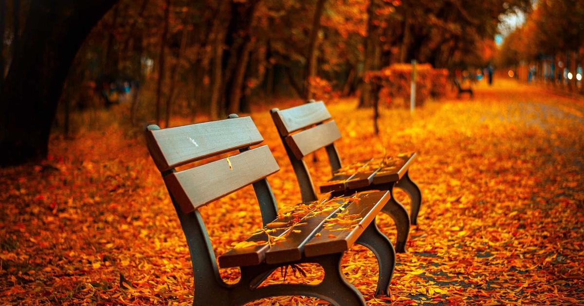 หางานพนักงานต้อนรับ (Receptionist) พัทยากลาง: โอกาสเติบโตในสายงานโรงแรมระดับโลก