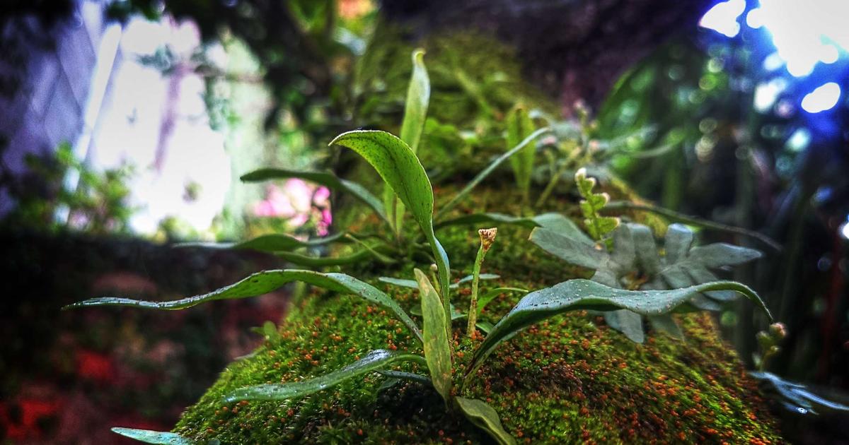 เจาะลึกงานพนักงานต้อนรับ (Receptionist) ย่านเขาพระตำหนัก พัทยา: ทำไมถึงเป็นทำเลที่น่าทำงานที่สุด