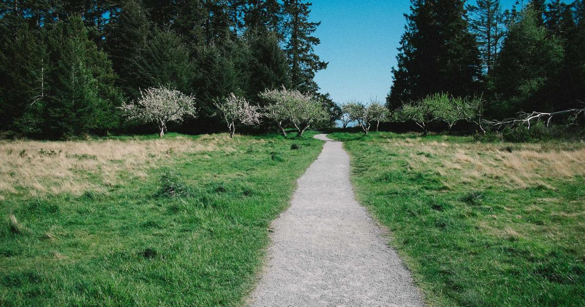 โอกาสทองงานบริการ! เจาะลึกงานพนักงานเสิร์ฟใน 'ซอยเขาน้อย' พัทยา แหล่งรวมร้านอาหารและไลฟ์สไตล์