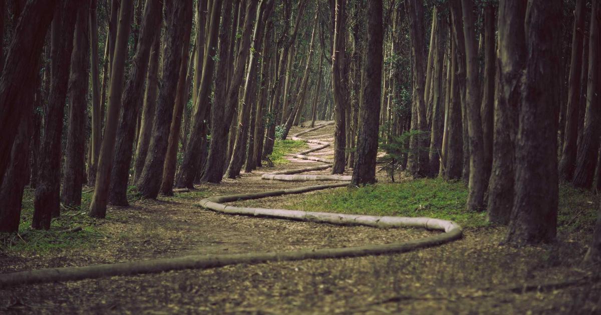 โอกาสทอง! งานพนักงานขายอสังหาริมทรัพย์ ย่านห้วยใหญ่ พัทยา รายได้ดี คอมมิชชันสูง