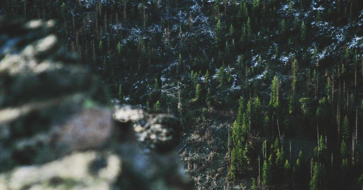 งานพนักงานต้อนรับ (Receptionist) โซนนาเกลือ พัทยา: โอกาสทองของคนรักงานบริการในบรรยากาศสุดชิล