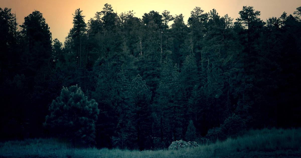 โอกาสงานเซลล์อสังหาฯ พัทยาฝั่งตะวันออก: ตลาดที่อยู่อาศัยระดับพรีเมียมที่คุณไม่ควรพลาด