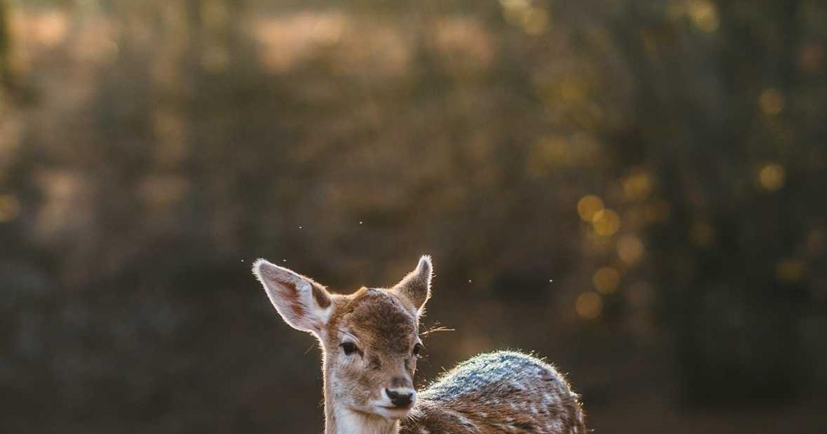 เจาะลึกงานหัวหน้าคลังสินค้า (Warehouse Supervisor) ย่านเขาไม้แก้ว พัทยา โอกาสเติบโตในศูนย์กลางโลจิสติกส์