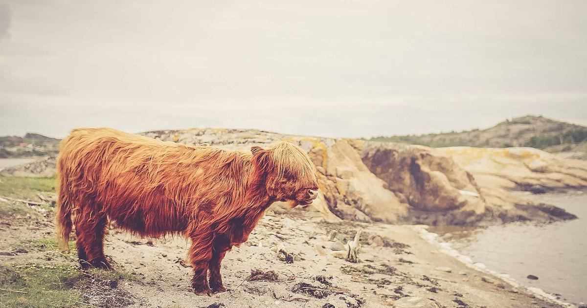 งานนายหน้าอสังหาริมทรัพย์ พัทยา โซนทุ่งกลม-ตาลหมัน: โอกาสสร้างรายได้หลักแสนที่คุณไม่ควรพลาด