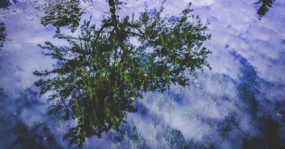 งานพนักงานต้อนรับในจอมเทียน พัทยา: อาชีพดาวรุ่งในแหล่งท่องเที่ยวระดับโลก